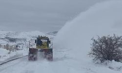 Malatya'da okullar kar nedeniyle tatil edildi