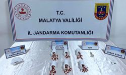 Malatya'da uyuşturucu operasyonu: 2 gözaltı