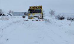 Malatya'da yoğun kar yağışı ve tipi nedeniyle kapanan yollar tekrar açılıyor