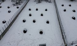 Malatya'nın ikinci hayvan barınağı hizmete başladı