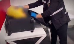 Mersin'de Çukurova Havalimanı'nda 4,5 kilo esrar ele geçirildi