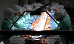 MTB Başkanı Özcan: 2025 yılında 47 bin 699 ton kuru kayısı ihracatı gerçekleştirdik