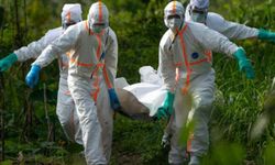 Nijerya’da Lassa ateşi kaynaklı can kaybı 17’ye yükseldi