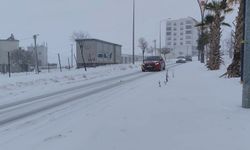 Öter: Son 10 yılın en verimli kar yağışı Mardin Ovası’na can suyu oldu