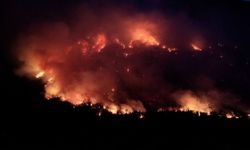 Patagonya'daki yangınlarda  12 bin hektarlık alan küle döndü