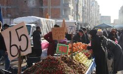 Pazarda sebze ve meyve fiyatları ne kadar? Diyarbakırlılar fiyatları nasıl karşılıyor?