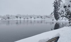 Prof. Dr. Öztürkmen: Kar yağışı sadece görsel bir güzellik değil, doğanın rehabilitasyon sürecidir