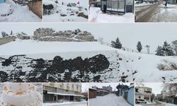 Şanlıurfa beyaza büründü: Kar, tarihi evlerin dam boyuna ulaştı