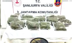 Şanlıurfa dahil 63 ilde zehir satışçılarına darbe