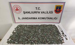 Şanlıurfa’da tarihi eser operasyonu