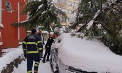 Siirt’te kar tehlikesi: Çam ağacı otomobilin üzerine devrildi