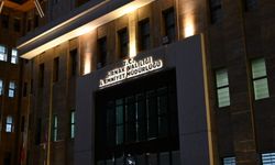 Şırnak'ta asayiş operasyonlarında 29 gözaltı  