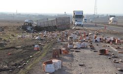 Şırnak'ta iki tır çarpıştı: 2 yaralı