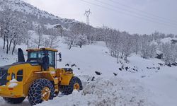 Şırnak'ta kar nedeniyle kapanan yolları açma çalışmaları devam ediyor   