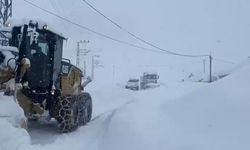 Şırnak'ta kar temizleme çalışmaları devam ediyor