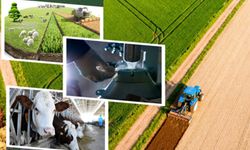 Tarımsal destek ödemeleri hesaplara yatıyor