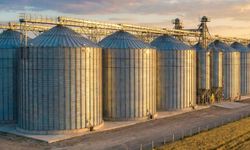 TMO’dan yem sektörüne yönelik ilave hububat satışı