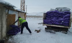 Umut Kervanı’ndan Van’daki ihtiyaç sahiplerine yardım