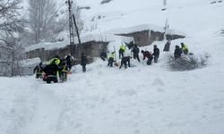 Van Valiliği kuvvetli kar yağışı, rüzgar ve çığ tehlikesine karşı uyardı