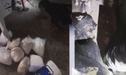 Van'da 10 kilogram uyuşturucu ele geçirildi: 2 gözaltı