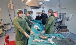 Viranşehir Devlet Hastanesi’nde böbrek kisti kapalı yöntemle alındı