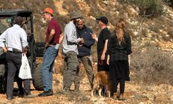 Yahudi çeteler Filistinlilere ait 200 koyun ve bir aracı gasp etti