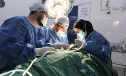 Yeryüzü Doktorları 12 ülkede yardım ve sağlık nöbeti tuttu