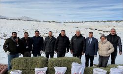 Yeşilyurt Belediyesinden yaban hayvanlarına yem desteği