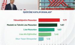 Yükseköğretim mezunları işgücüne katılımda ilk sırada