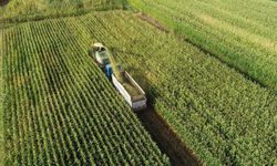 2025 Organize Tarım Bölgeleri istatistik bülteni yayımlandı