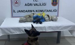 Ağrı'da gerçekleştirilen uyuşturucu operasyonunda 4 kilogram esrar ele geçirildi