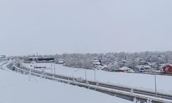 Ağrı’da kar yağışı kenti yeniden beyaza bürüdü