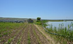 Batman'da çiftçilere kritik uyarı: Barajdan su bırakılacak