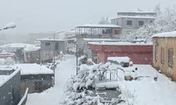 Batman'ın ilçelerinde kar etkili oluyor