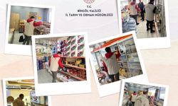 Bingöl’de Ramazan ayı gıda denetimleri sürüyor