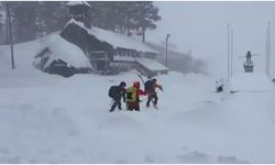 California’daki çığ altında kalan 8 kayakçı öldü