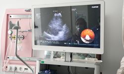 Doç. Dr. Berber: EBUS özellikle akciğer kanseri tanısında kritik rol oynuyor