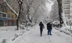 Doğuda 3 ilde kuvvetli kar yağışı bekleniyor