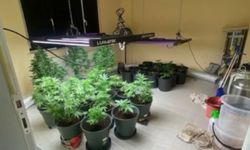 Evde iklimlendirme sistemli uyuşturucu üretimine 2 tutuklama