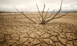 Güney Afrika kuraklığı ve su kıtlığını ulusal afet olarak sınıflandırdı