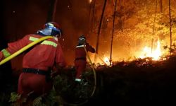 Güney Kore'de orman yangınları nedeniyle ulusal seferberlik ilan edildi
