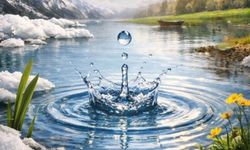 İkinci cemre suya düştü