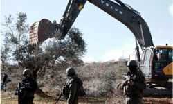 İşgal rejimi, Batı Şeria'da Filistinlilerin zeytin ağaçlarını söküyor