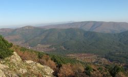 İzmir’de 145 bin metrekarelik alan orman sınırından çıkarıldı