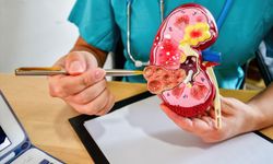 Kadınlar, yaşlılar ve hamileler için uyarı: İdrar yolu enfeksiyonu sessiz ilerleyebiliyor