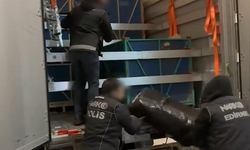 Kapıkule'de 240 kilo skunk ele geçirildi