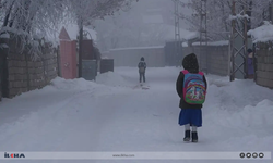 Kar yağışı nedeniyle Ağrı'da eğitime ara verildi!