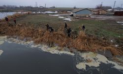 Kayıp Nimet Kılıç’ı arama çalışmaları 11’inci gününde