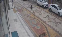 Köpeklerin saldırısına uğrayan çocuğu esnaf kurtardı