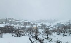 Kulp'ta şubat ayının son günlerinde kar yağışı etkili oldu